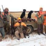 pheasant-hunting39