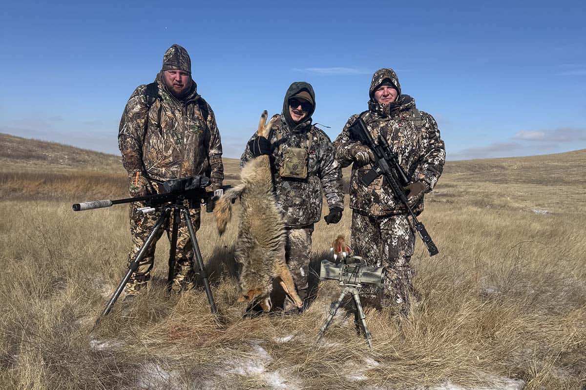 Coyote Hunting At Brown'S Hunting Ranch