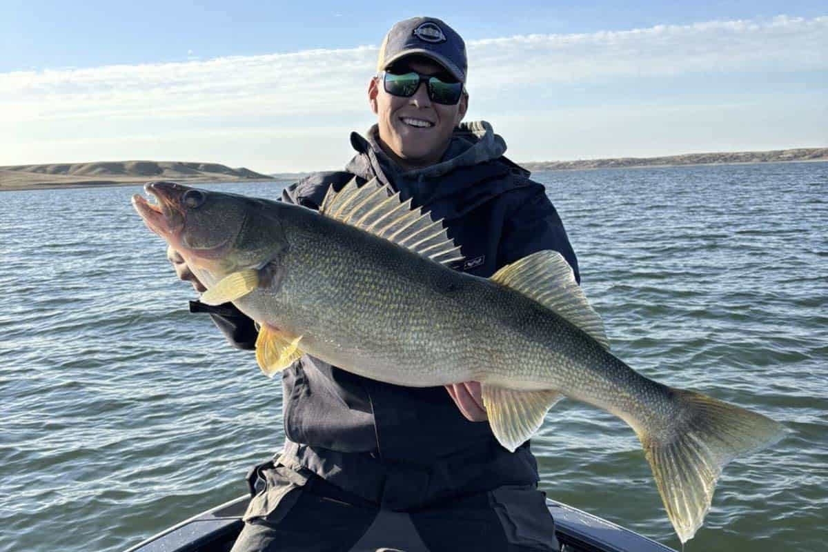 Screenshot Walleye Fishing - South Dakota Fishing Trip