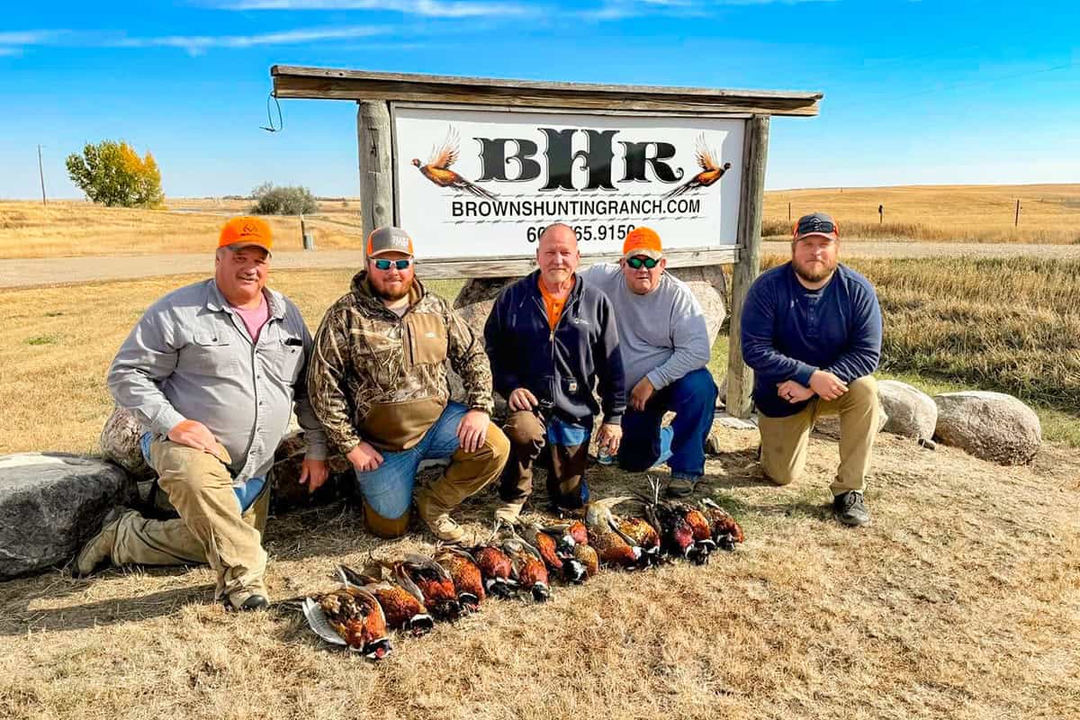 Pheasant-Hunting-4 Pheasant Hunting 4 - Brown'S Lodge &Amp; Hunting Ranch
